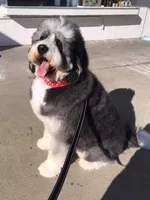 processed/026cd093-9d79-4d80-8383-36ee0fb4cdf7/facility/146be44f-956c-44b4-a3b0-0fde30416a40