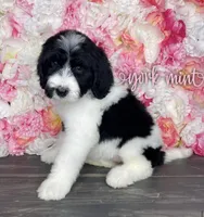 processed/026cd093-9d79-4d80-8383-36ee0fb4cdf7/facility/d31f4da8-6eef-4191-bdde-3cb2ea606dbf