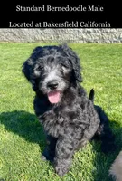 processed/026cd093-9d79-4d80-8383-36ee0fb4cdf7/facility/f2c2fa61-5166-4535-a7f8-b779db603351