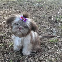 processed/026e6461-186a-4c08-8e4a-841361a1e4e7/facility/72a6c76a-1359-4744-9ae4-a6305459f0e9