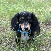 processed/026e6461-186a-4c08-8e4a-841361a1e4e7/facility/ce8e6109-6d51-47df-9ed1-16a85b7815c4