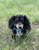 processed/026e6461-186a-4c08-8e4a-841361a1e4e7/facility/ce8e6109-6d51-47df-9ed1-16a85b7815c4