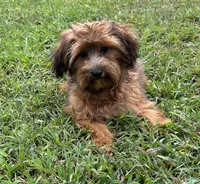 processed/026e6461-186a-4c08-8e4a-841361a1e4e7/listing/0c7c5fc6-b683-48d1-8d31-c83c5c1e4d02/8af11de5-37a9-45a4-92ce-8b95fa9cca1d