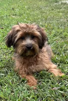 processed/026e6461-186a-4c08-8e4a-841361a1e4e7/listing/0c7c5fc6-b683-48d1-8d31-c83c5c1e4d02/c4020949-8f82-4fed-8273-6e0efc1af3ee