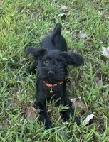 processed/026e6461-186a-4c08-8e4a-841361a1e4e7/listing/27cdddfc-b637-4c97-a084-528f64cf3bf8/21594f58-40ff-4d08-a3c6-458a5ed86702