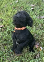 processed/026e6461-186a-4c08-8e4a-841361a1e4e7/listing/27cdddfc-b637-4c97-a084-528f64cf3bf8/7519e3a5-b3ef-4018-bc01-c30eafe66f0e