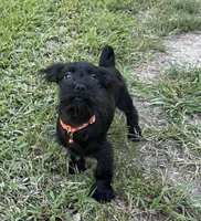 processed/026e6461-186a-4c08-8e4a-841361a1e4e7/listing/27cdddfc-b637-4c97-a084-528f64cf3bf8/9ef47e07-7f75-4e12-8def-0803b6650dbf