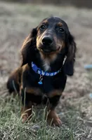 processed/026e6461-186a-4c08-8e4a-841361a1e4e7/listing/48ee06ca-7033-4df7-a157-82b9cbe6333a/626b2b2f-0b19-42ec-90e5-4e608f06c5a3