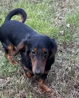 processed/026e6461-186a-4c08-8e4a-841361a1e4e7/listing/48ee06ca-7033-4df7-a157-82b9cbe6333a/9278d4fa-407e-45e3-838f-9d3e28a4a8e4