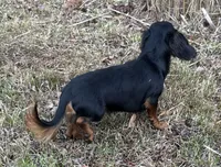 processed/026e6461-186a-4c08-8e4a-841361a1e4e7/listing/48ee06ca-7033-4df7-a157-82b9cbe6333a/a174bc60-101c-4538-a13b-2e014fb01b29