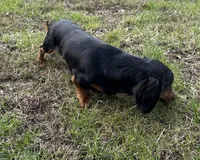 processed/026e6461-186a-4c08-8e4a-841361a1e4e7/listing/48ee06ca-7033-4df7-a157-82b9cbe6333a/e8d47c32-abb9-4d93-8605-b0b9668c2f76