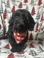 processed/026e6461-186a-4c08-8e4a-841361a1e4e7/listing/b7b1bf1c-cae7-4b72-8dec-d370cac1067c/2a4ea62b-7d29-492d-a542-edc333f16b11