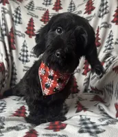 processed/026e6461-186a-4c08-8e4a-841361a1e4e7/listing/b7b1bf1c-cae7-4b72-8dec-d370cac1067c/94b4bb0b-d818-4c67-82b5-5efb668ac747