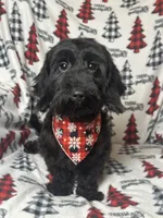 processed/026e6461-186a-4c08-8e4a-841361a1e4e7/listing/b7b1bf1c-cae7-4b72-8dec-d370cac1067c/9c4d8fb2-47cf-422d-9d32-f0c474a41eaa