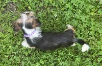 processed/026e6461-186a-4c08-8e4a-841361a1e4e7/listing/e25c2387-fefa-442d-83c2-0dcba4fb7f36/60e27aff-15be-42dc-b7fb-137f9b5a4936