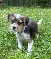 processed/026e6461-186a-4c08-8e4a-841361a1e4e7/listing/e25c2387-fefa-442d-83c2-0dcba4fb7f36/6b3a7ed6-ad2e-4508-a6cb-9b3c5a0b44c8