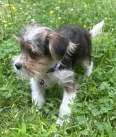 processed/026e6461-186a-4c08-8e4a-841361a1e4e7/listing/e25c2387-fefa-442d-83c2-0dcba4fb7f36/b71bd5c8-0e52-47bc-b131-1fd45fb51289