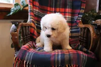 processed/026ee7e0-eaf3-4b62-bb51-d6f84f1a53ce/listing/5b2a6942-21fc-4cf4-b549-a3883a5f57e0/01ad033d-6197-4ae6-96dd-f1f35bc72600