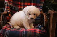 processed/026ee7e0-eaf3-4b62-bb51-d6f84f1a53ce/listing/5b2a6942-21fc-4cf4-b549-a3883a5f57e0/3524cd64-5cac-4e19-88a9-a0f262da38cc