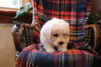 processed/026ee7e0-eaf3-4b62-bb51-d6f84f1a53ce/listing/5b2a6942-21fc-4cf4-b549-a3883a5f57e0/3b3bd366-e0db-4687-9d71-8d726c71b6ed