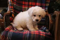 processed/026ee7e0-eaf3-4b62-bb51-d6f84f1a53ce/listing/5b2a6942-21fc-4cf4-b549-a3883a5f57e0/9021d011-c2c9-4070-92c5-7ed8d79f1cd6