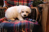 processed/026ee7e0-eaf3-4b62-bb51-d6f84f1a53ce/listing/5b2a6942-21fc-4cf4-b549-a3883a5f57e0/9600bc91-6714-4c34-8d86-53a23a2ebab0