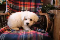 processed/026ee7e0-eaf3-4b62-bb51-d6f84f1a53ce/listing/5b2a6942-21fc-4cf4-b549-a3883a5f57e0/c0b462ee-8daf-4dfd-9bfc-5dfe0ce44524