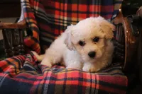 processed/026ee7e0-eaf3-4b62-bb51-d6f84f1a53ce/listing/a8fa0afe-4802-4ea4-979f-384b2728d255/2bb479bb-6b62-41f6-b560-ce8ec2f53945