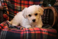 processed/026ee7e0-eaf3-4b62-bb51-d6f84f1a53ce/listing/a8fa0afe-4802-4ea4-979f-384b2728d255/58e9f099-0d54-47ba-b17d-a793855cfca0