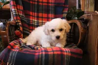 processed/026ee7e0-eaf3-4b62-bb51-d6f84f1a53ce/listing/a8fa0afe-4802-4ea4-979f-384b2728d255/86957c3b-2df9-4a75-ab59-fd4234986d37