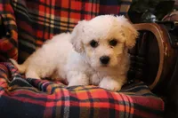 processed/026ee7e0-eaf3-4b62-bb51-d6f84f1a53ce/listing/a8fa0afe-4802-4ea4-979f-384b2728d255/cf52a8fa-8fe5-4de7-b1e3-3c7e50e12a6a