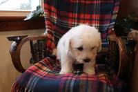 processed/026ee7e0-eaf3-4b62-bb51-d6f84f1a53ce/listing/b22b9314-f8fc-4e37-b796-b4fabb1e2d9a/2bb2647a-1e43-4018-b9f3-537d54c24867