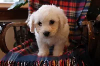 processed/026ee7e0-eaf3-4b62-bb51-d6f84f1a53ce/listing/b22b9314-f8fc-4e37-b796-b4fabb1e2d9a/6c3e6fe4-1340-4d18-97cc-a0427930126e