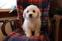 processed/026ee7e0-eaf3-4b62-bb51-d6f84f1a53ce/listing/b22b9314-f8fc-4e37-b796-b4fabb1e2d9a/83bd88d1-838a-4124-af1a-825847dfa0fe