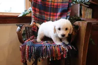 processed/026ee7e0-eaf3-4b62-bb51-d6f84f1a53ce/listing/b22b9314-f8fc-4e37-b796-b4fabb1e2d9a/9f1497e1-b534-4db6-a77f-b0919b7e4d9d