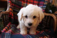 processed/026ee7e0-eaf3-4b62-bb51-d6f84f1a53ce/listing/b22b9314-f8fc-4e37-b796-b4fabb1e2d9a/a4a47b7e-1663-4aae-8af2-cb8fa4cb8631