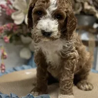 processed/0277763c-ef6f-4b5a-a426-bd2281c6c84f/facility/19c958ad-05fc-4814-9d82-04d6d0b9fb9f