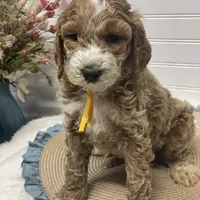 processed/0277763c-ef6f-4b5a-a426-bd2281c6c84f/facility/8201bf5b-25ce-4500-bbb7-85e0c5a483e9