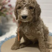 processed/0277763c-ef6f-4b5a-a426-bd2281c6c84f/facility/ac332322-14fb-4e5e-95f5-412f526f5345