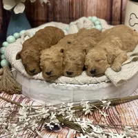 processed/0277763c-ef6f-4b5a-a426-bd2281c6c84f/facility/fda3016e-970e-46fa-9e61-6b3e318e601a