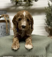 processed/0277763c-ef6f-4b5a-a426-bd2281c6c84f/listing/0097f16d-8422-42a6-b66f-75f9e0e07649/0760498f-eecb-4644-a07f-3b3ed449a6f3