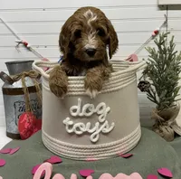 processed/0277763c-ef6f-4b5a-a426-bd2281c6c84f/listing/0097f16d-8422-42a6-b66f-75f9e0e07649/aaa1b864-882b-4504-b6b3-8bd16cf1a808