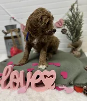 processed/0277763c-ef6f-4b5a-a426-bd2281c6c84f/listing/0097f16d-8422-42a6-b66f-75f9e0e07649/ef2748e0-07e3-464a-9b3b-b670de19a6ad