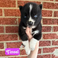 processed/0278d26e-4f3c-46f2-b44f-98800399ef9b/listing/145f78d3-677c-4720-adc6-2bd010eb8dee/38e4f1b3-bbf0-4dcf-b61f-5e3d2801c968