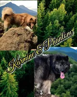 processed/0278d26e-4f3c-46f2-b44f-98800399ef9b/listing/145f78d3-677c-4720-adc6-2bd010eb8dee/6ba681a7-92f9-496d-b214-02adc212df8c