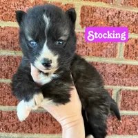 processed/0278d26e-4f3c-46f2-b44f-98800399ef9b/listing/4b21ba1f-f812-4c16-be98-5b02dc5f165d/636cad8c-9190-47e8-8dc7-a4853a1fadda