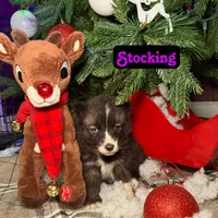 processed/0278d26e-4f3c-46f2-b44f-98800399ef9b/listing/4b21ba1f-f812-4c16-be98-5b02dc5f165d/98d280ed-7d32-4362-92b1-249bb25597fb