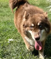 processed/0278d26e-4f3c-46f2-b44f-98800399ef9b/listing/f754fbf7-9e74-4ca7-bcbe-345f638d4038/60f3c163-f5e6-4bae-890e-8c871c15e9ba