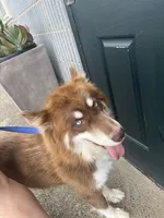 processed/0278d26e-4f3c-46f2-b44f-98800399ef9b/listing/f754fbf7-9e74-4ca7-bcbe-345f638d4038/964fc8a4-17d7-46b8-aa63-f1f275fd27ea