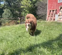 processed/0278d26e-4f3c-46f2-b44f-98800399ef9b/listing/f754fbf7-9e74-4ca7-bcbe-345f638d4038/cec6f7bb-f177-4022-9aff-73fbd455f060